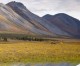 As ANWR opens to drilling, Patagonia targets Trump tax bill as ‘pure evil’