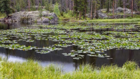 Colorado reservoir proposal fans flames of climate change, trans-mountain diversion debate