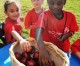 La Petite Academy preschools honored with national health, fitness award La Petite Academy preschools honored with national health, fitness award