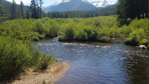 Colorado poised to become first state to replace federal protections for critical wetlands Colorado poised to become first state to replace federal protections for critical wetlands