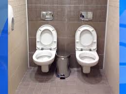 tandem toilets in Sochi