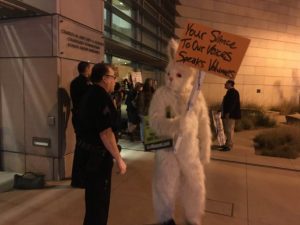 rabbit-protest