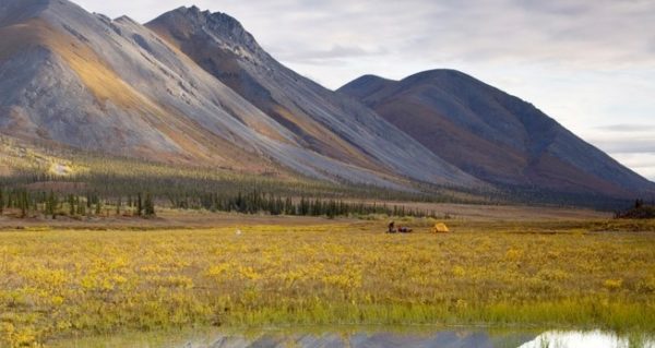 arctic wildlife refuge